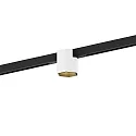 track spot HEXO ON STREX 1.0 with adapter IP20, gold, black matt, white matt 