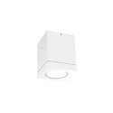 Plafondarmatuur voor buiten TUBE 1.0 LED PHASE down, cilindrisch, stijf IP65, wit mat dimbaar